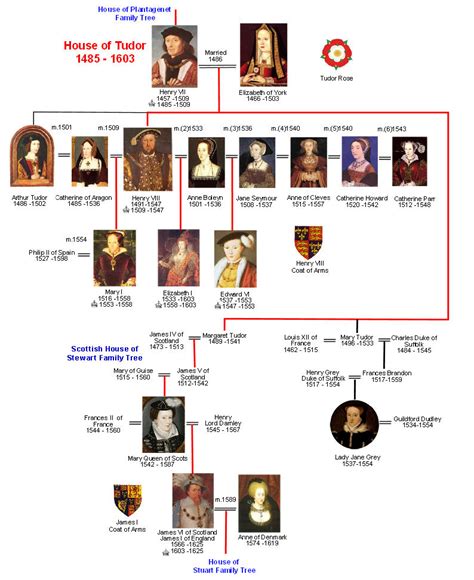 tudor family history simplified|tudor family tree.